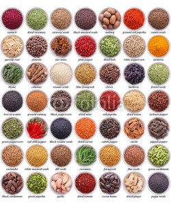 andriigorulko, large collection of different spices and herbs