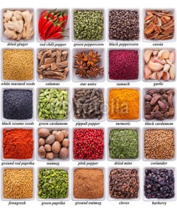 andriigorulko, collection of different spices and herbs