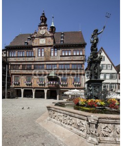 Blickfang, Tübingen Neptunbrunnen vor dem Rathaus