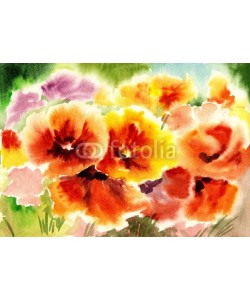 max5799, watercolor flowers, poppies abstracts art