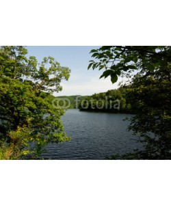 dina, An der Urfttalsperre, Nationalpark Eifel