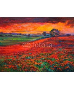 Boyan Dimitrov, Poppy fields