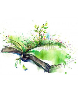 okalinichenko, spring