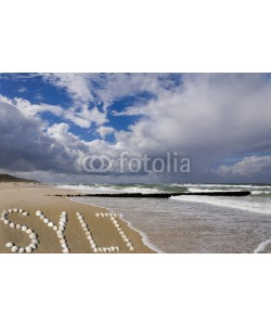 Blickfang, Strand von Sylt mit Muscheln