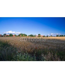 dina, Landschaft  bei Rogeez, Mecklenburg-Vorpommern