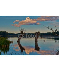 dina, Naturparadies Stuerscher See bei Stuer, Mecklenburg-Vorpommern,