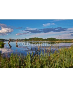 dina, Naturparadies Stuerscher See bei Stuer, Mecklenburg-Vorpommern,