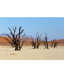 artush, Sossusvlei beautiful landscape of death valley, namibia