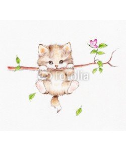 ciumac, Kitten hanging on a tree