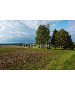 dina, idyllische Landschft bei Madenhausen,  Landkreis Schweinfurt,  D