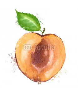 ~ Bitter ~, Apricot vector logo design template. fruit or food icon.