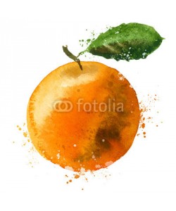 ~ Bitter ~, Orange vector logo design template. fruit or food  icon.