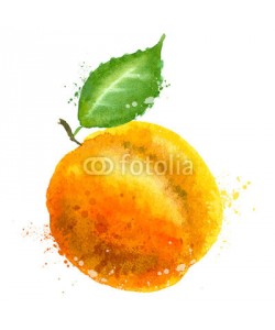 ~ Bitter ~, Apricot vector logo design template. Peach or fruit icon.