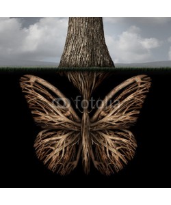 freshidea, Creative Roots