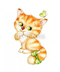 ciumac, Cute kitten