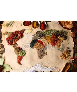 Africa Studio, Map of world made from different kinds of spices, close-up