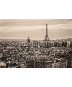 francescorizzato, View of Paris and of the Eiffel Tower from Above