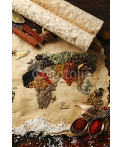 Africa Studio, Map of world made from different kinds of spices