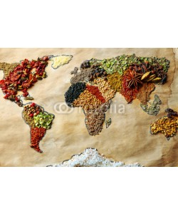 Africa Studio, Map of world made from different kinds of spices, close-up