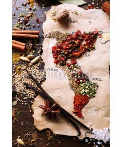 Africa Studio, Map of world made from different kinds of spices