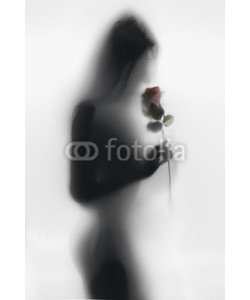 Кирилл Рыжов, Black and white silhouette of sexy woman smelling rose