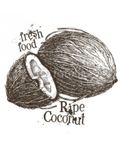 ~ Bitter ~, coconut vector logo design template. fresh food or walnut icon.