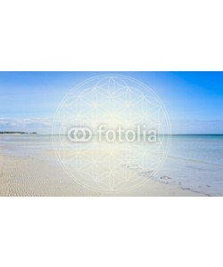 reichdernatur, blume des lebens - strand