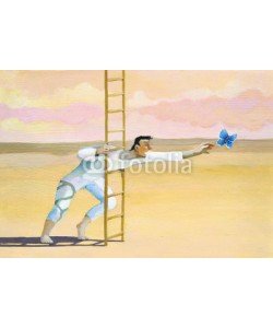 nuvolanevicata, butterfly