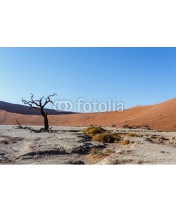 artush, beautiful landscape of Hidden Vlei in Namib desert