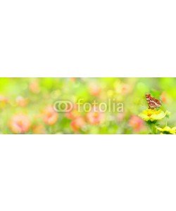Floydine, Banner  -  Garden with beautiful flowers and butterfly