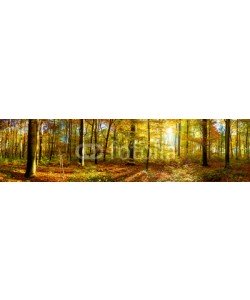 John Smith, Wald Panorama mit Sonnenstrahlen