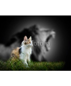 byrdyak, Cat with lion shadow