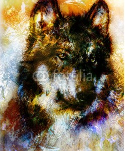 jozefklopacka, Wolf painting, color  background on paper , multicolor illustration. Brown, orange, black and white color.