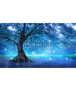 Romolo Tavani, Fairy Tree In Mystic Forest