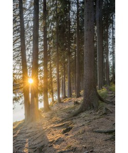 Konfiguration benutzen