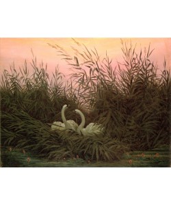 Caspar David Friedrich, Swans in the Reeds, c.1820 (oil on canvas)