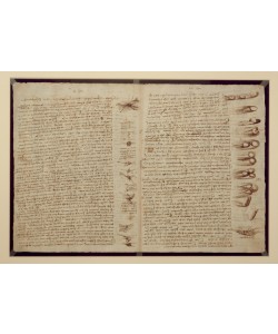 Leonardo da Vinci, A page from the Codex Leicester, 1508-12 (sepia ink on linen paper)