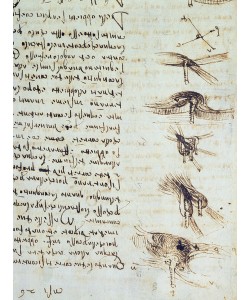 Leonardo da Vinci, Scientific diagrams, from the 'Codex Leicester', 1508-12 (sepia ink on linen paper) (detail of 227790)