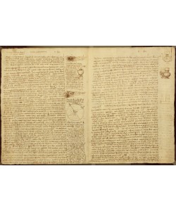 Leonardo da Vinci, A page from the Codex Leicester, 1508-12 (sepia ink on linen paper)