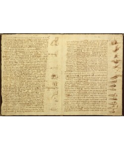 Leonardo da Vinci, A page from the Codex Leicester, 1508-12 (sepia ink on linen paper)