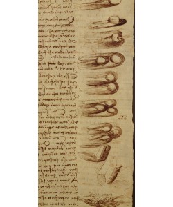 Leonardo da Vinci, Scientific diagrams, from the 'Codex Leicester', 1508-12 (sepia ink on linen paper) (detail of 240120)