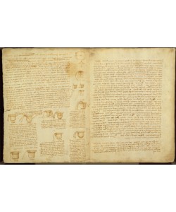 Leonardo da Vinci, A page from the Codex Leicester, 1508-12 (sepia ink on linen paper)