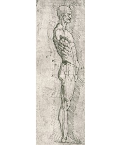 Leonardo da Vinci, Anatomical Study (pen and ink on paper) (b/w photo)