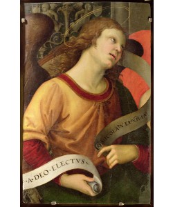Raphael, Angel, from the polyptych of St. Nicolas of Tolentino, 1501 (oil on panel)