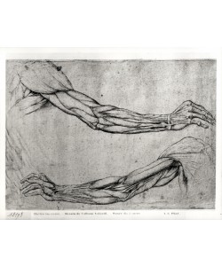 Leonardo da Vinci, Study of Arms (pen & ink on paper)
