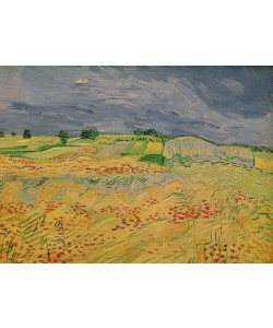 Vincent van Gogh, Plain at Auvers, 1890 (oil on canvas)