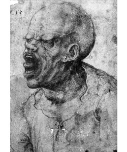 Leonardo da Vinci, Portrait of a Man Shouting (charcoal on paper) (b/w photo)