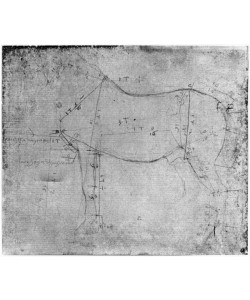 Leonardo da Vinci, Study of a Horse (metal point on paper) (b/w photo)