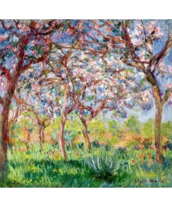 Claude Monet, Printemps a Giverny, 1903 (oil on canvas)