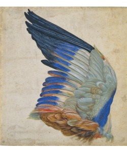 Hans Hoffmann, Wing of a Blue Roller, copy of an original by Albrecht Durer of 1512 (w/c on paper)